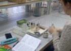 Состоялся семинар-тренинг «Подготовка участников к выполнению заданий всероссийской олимпиады школьников по биологии»